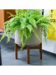 Concrete Indoor Plant Pot with Wood Stand, 22cm, Cement