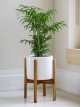 Indoor Ceramic Planter & Wood Stand, 24cm